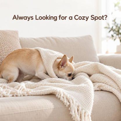 🐶💤heurcy™ Pet Snuggle Sack
