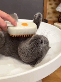 Steamy Pet Brush - 3-in-1 Grooming & Massage Comb for Cats & Dogs