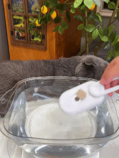 Steamy Pet Brush - 3-in-1 Grooming & Massage Comb for Cats & Dogs