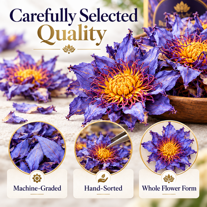 YumKnot Blue Lotus Flower Tea, Whole Dried Flowers