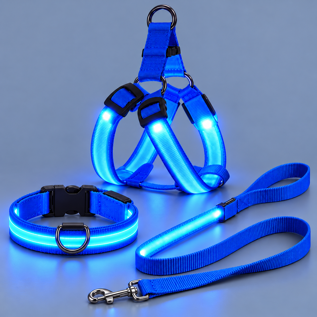 Complete LED Nighttime Walking Set for Pets