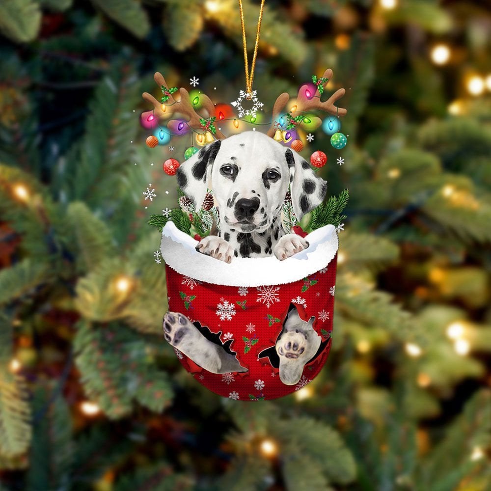 Dalmatian In Snow Pocket Ornament
