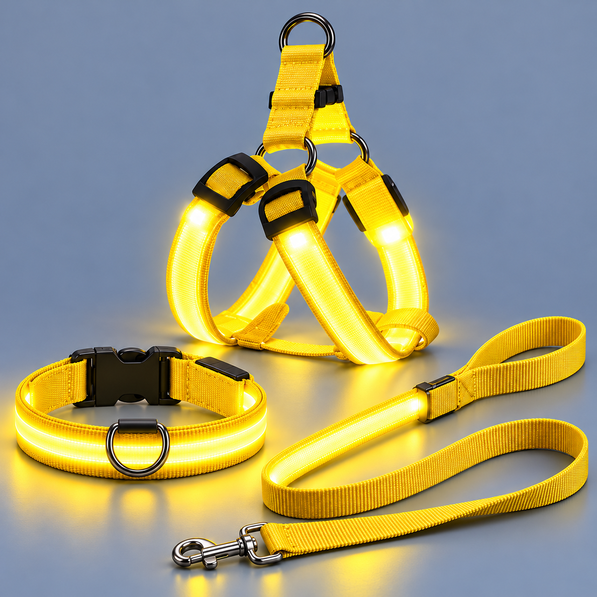 Complete LED Nighttime Walking Set for Pets