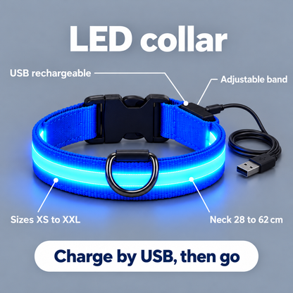 Complete LED Nighttime Walking Set for Pets