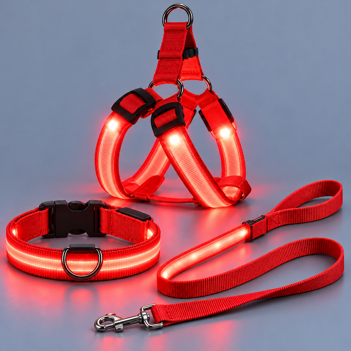 Complete LED Nighttime Walking Set for Pets