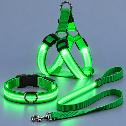 Complete LED Nighttime Walking Set for Pets