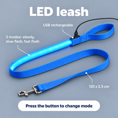 Complete LED Nighttime Walking Set for Pets